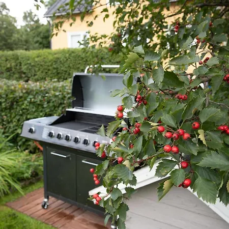 Iso Ja Viihtyisae Asunto Pietarsaaressa