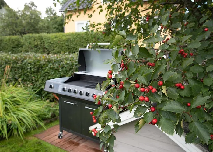 Iso Ja Viihtyisae Asunto Pietarsaaressa